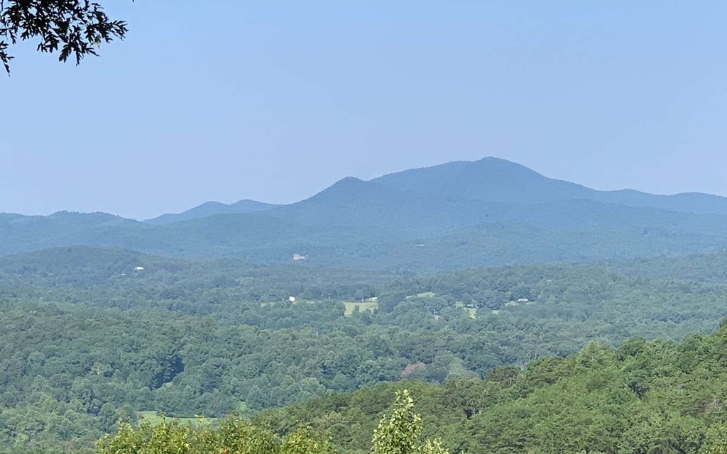 Lot 7 White Oak Drive #7, HAYESVILLE, North Carolina image 6