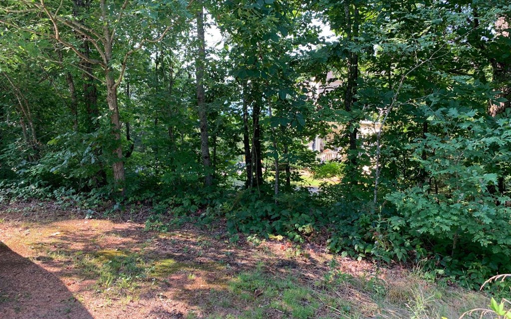 Lot 7 White Oak Drive #7, HAYESVILLE, North Carolina image 16