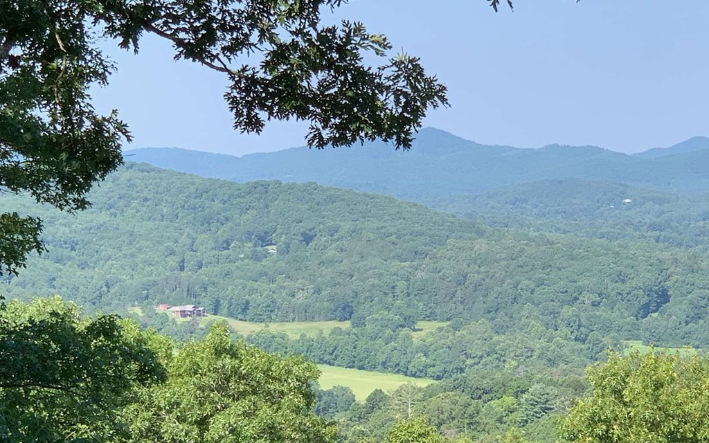 Lot 7 White Oak Drive #7, HAYESVILLE, North Carolina image 5