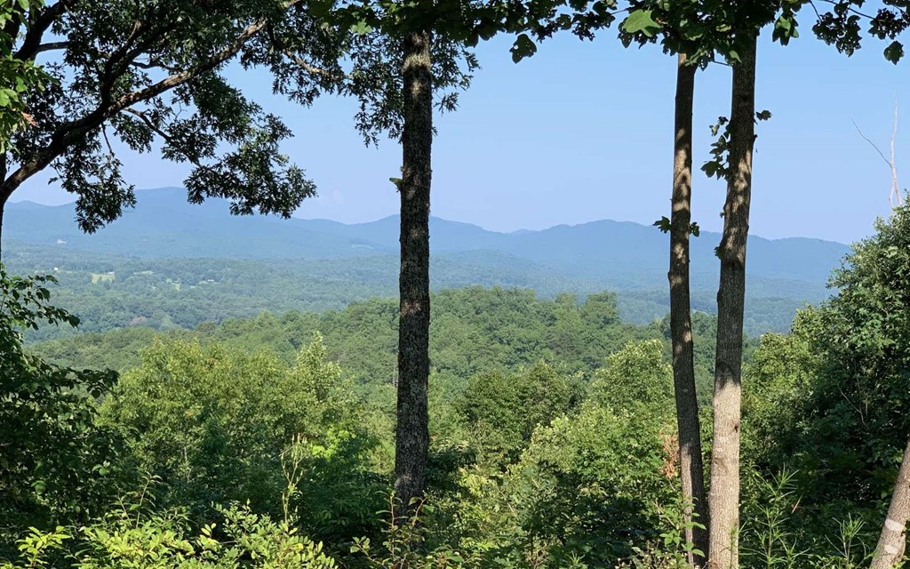 Lot 7 White Oak Drive #7, HAYESVILLE, North Carolina image 2
