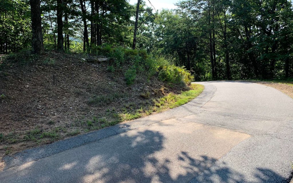 Lot 7 White Oak Drive #7, HAYESVILLE, North Carolina image 10