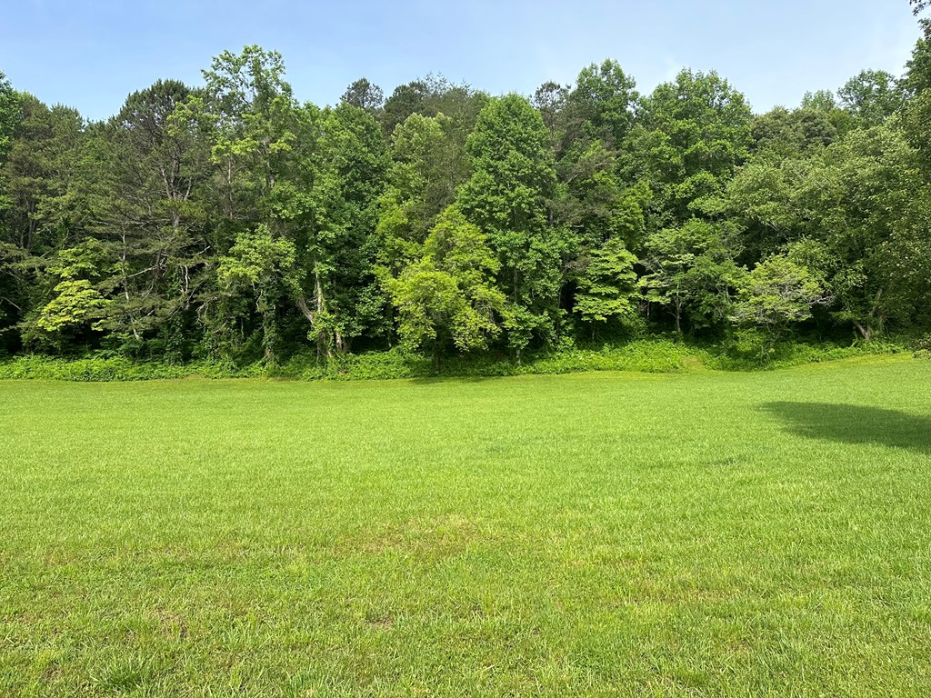 Lot 46 Prosperity Dr #46, WARNE, North Carolina image 4