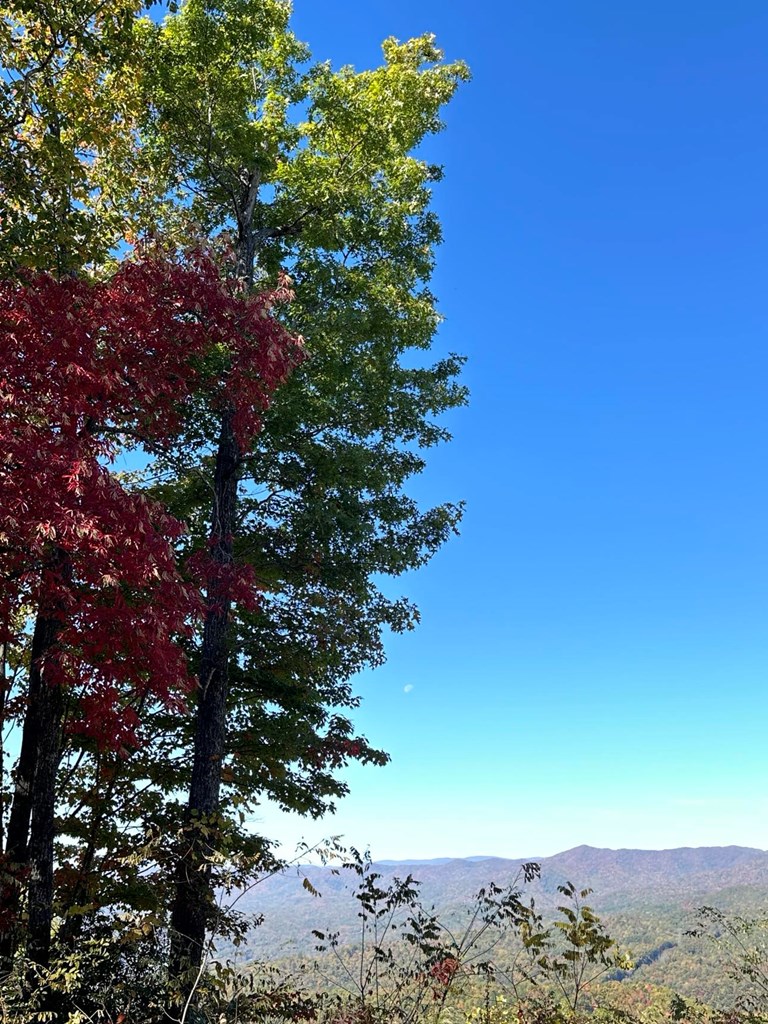 24 Cahill Dr #24, ANDREWS, North Carolina image 20
