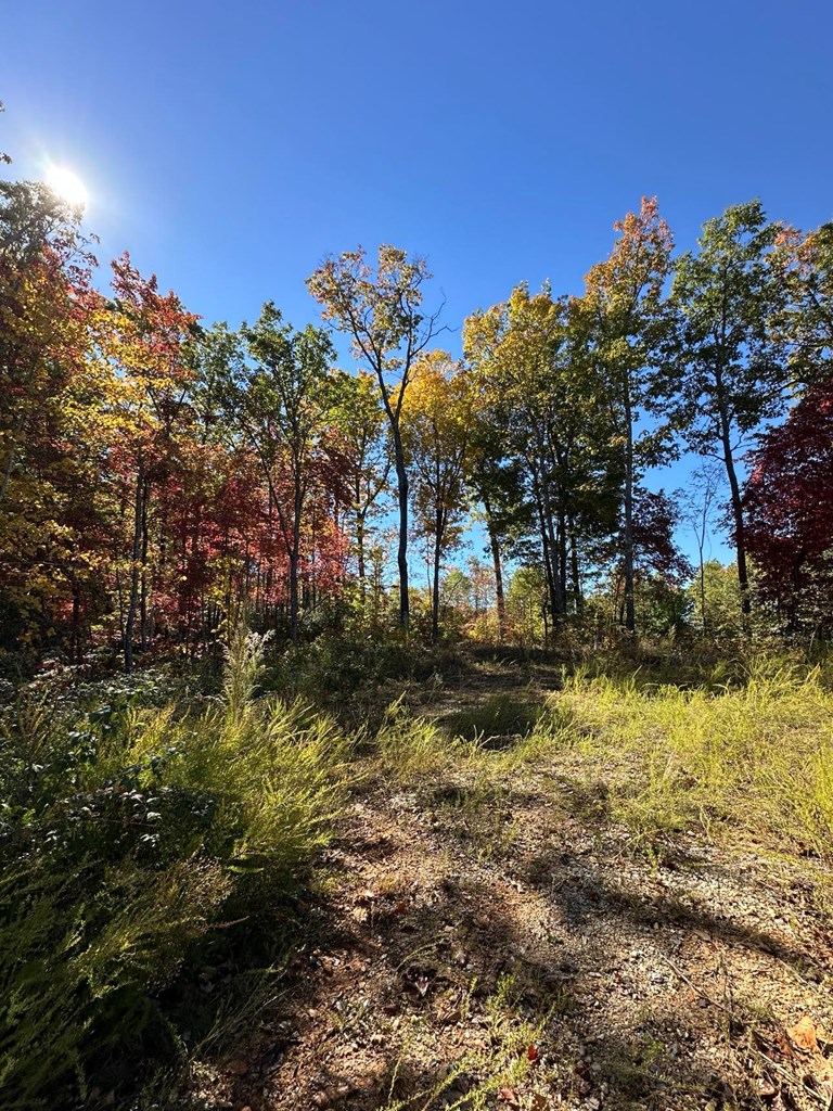 24 Cahill Dr #24, ANDREWS, North Carolina image 14