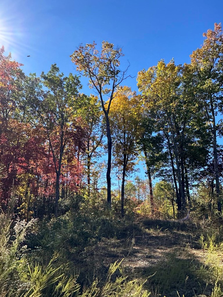 24 Cahill Dr #24, ANDREWS, North Carolina image 15