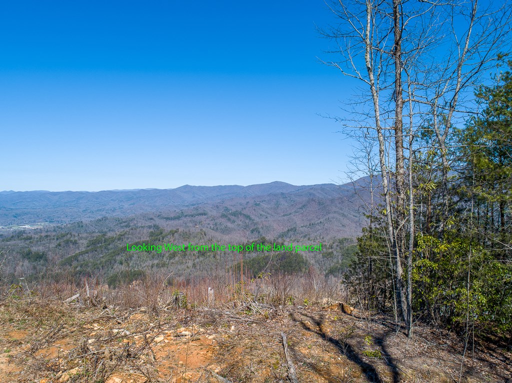 24 Cahill Dr #24, ANDREWS, North Carolina image 7