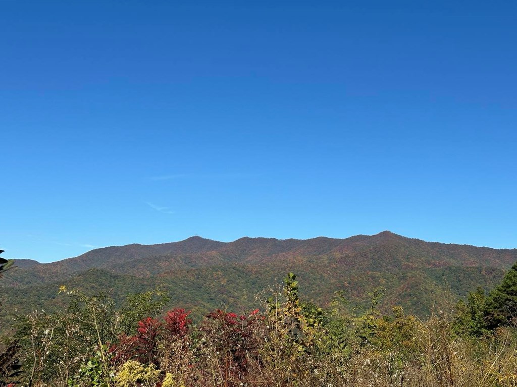 24 Cahill Dr #24, ANDREWS, North Carolina image 6