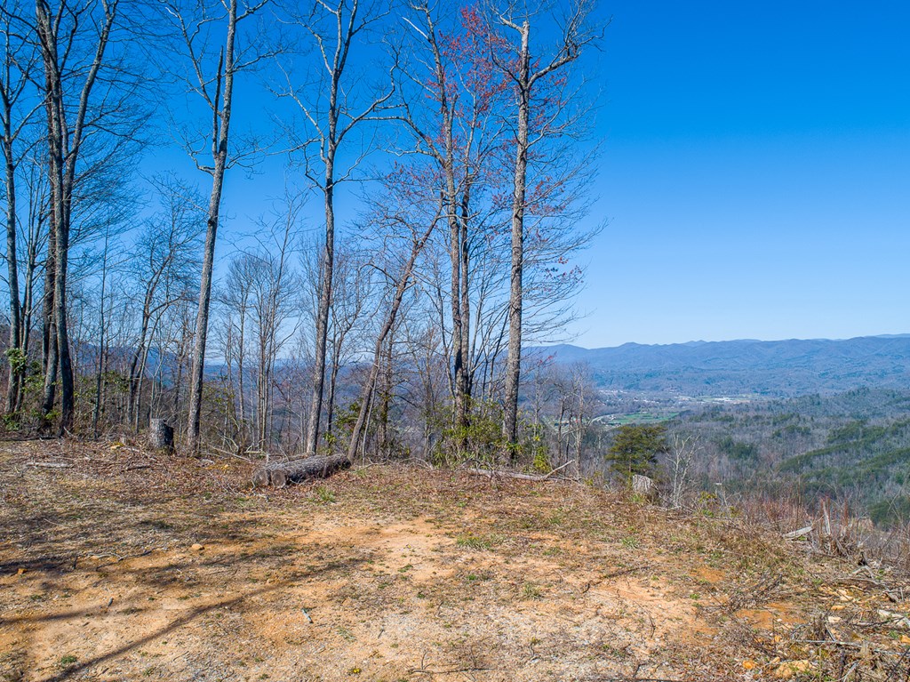 24 Cahill Dr #24, ANDREWS, North Carolina image 3