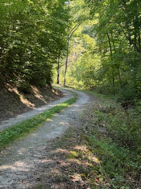 324 Scary Branch, BRYSON CITY, North Carolina image 1