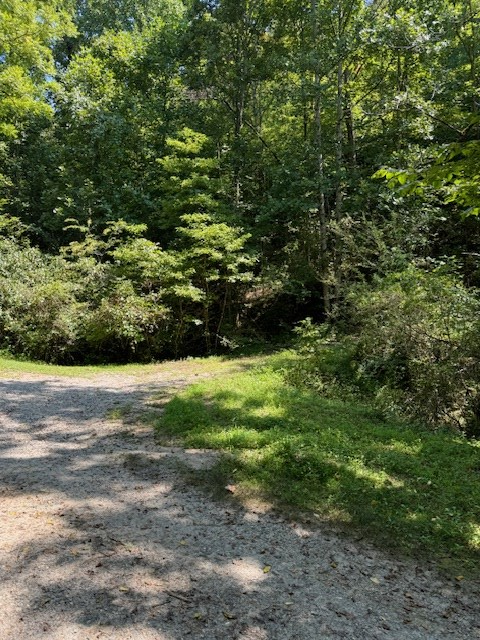 324 Scary Branch, BRYSON CITY, North Carolina image 3