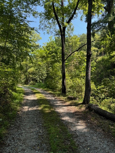 324 Scary Branch, BRYSON CITY, North Carolina image 14