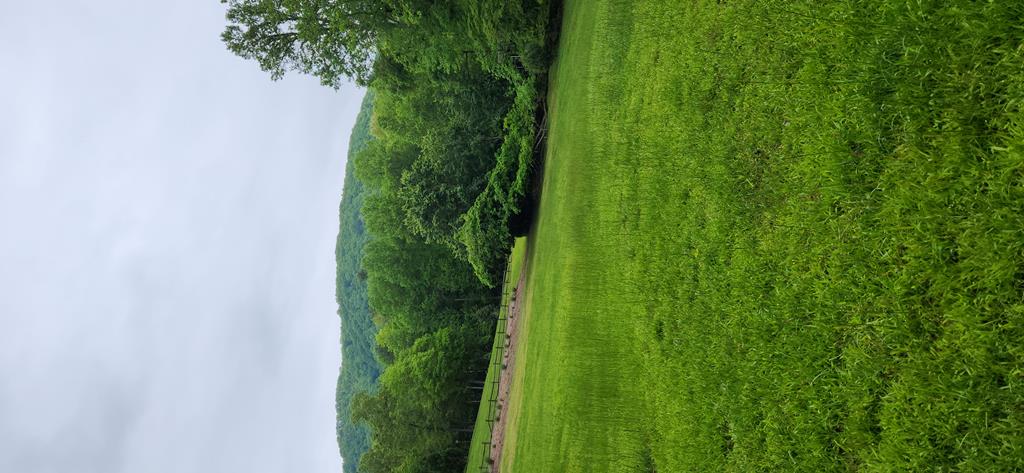 00 Bourne Dr, MURPHY, New York image 5