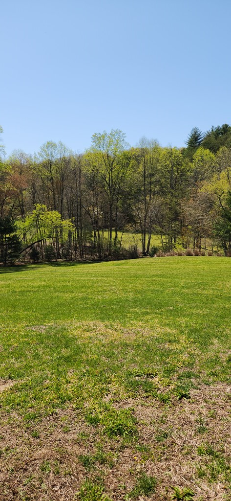 00 Bourne Dr, MURPHY, New York image 2