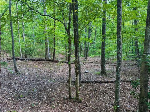 Vacant Land For Sale - LOT 57 Asheland Overlook Dr #57<br/> YOUNG HARRIS, GA 30582