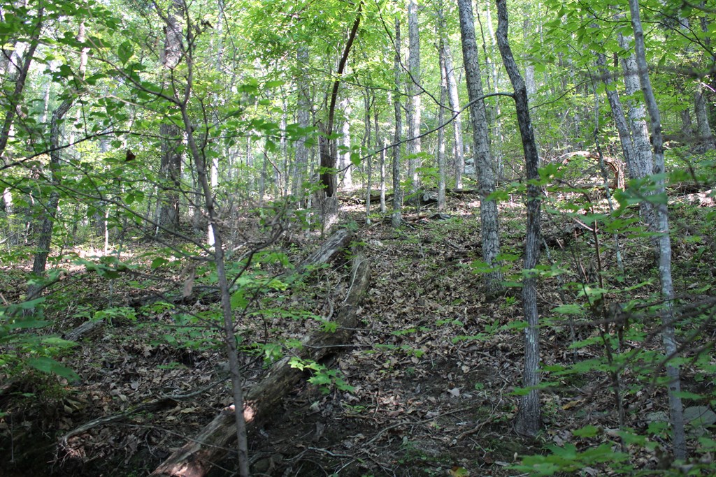 TBD Old Fain Road #170, MURPHY, North Carolina image 13