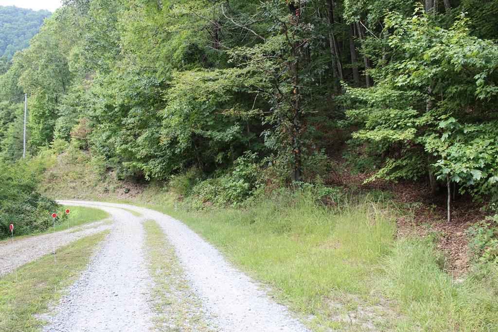 TBD Old Fain Road #170, MURPHY, North Carolina image 3