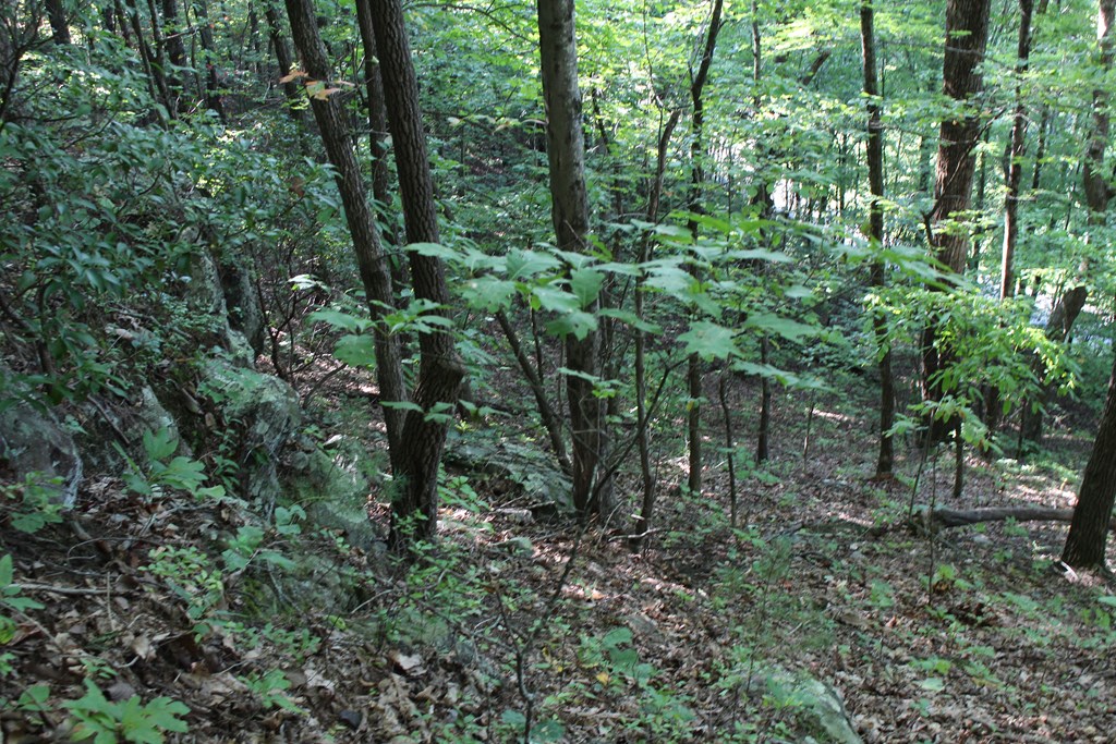 TBD Old Fain Road #170, MURPHY, North Carolina image 18