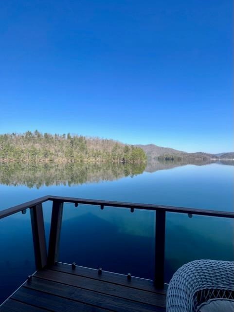 140 Thunder Island, ROBBINSVILLE, North Carolina image 48