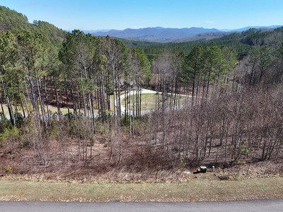 Lot 54 Deyton Drive #54, BLAIRSVILLE, Georgia image 39