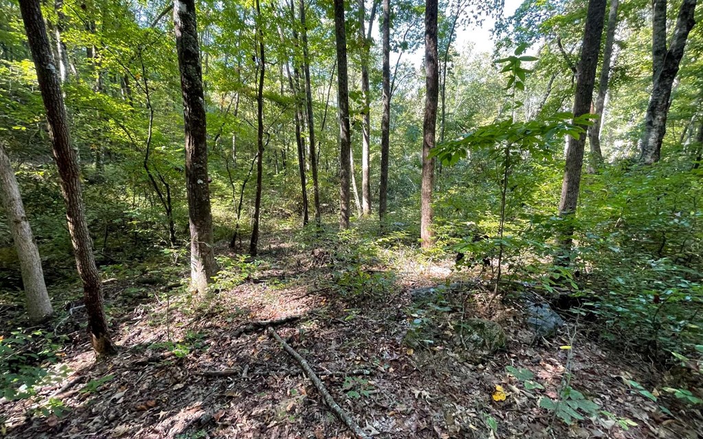 Lot 22-4 High Meadows #22-4, HAYESVILLE, North Carolina image 11