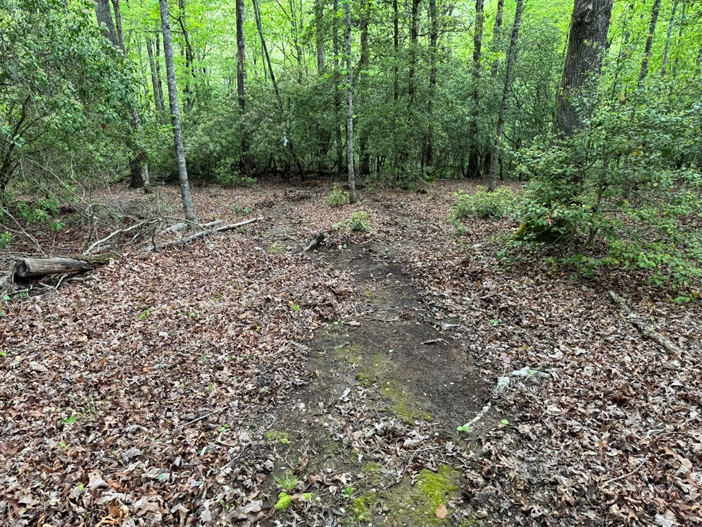 Lot 25 Holly Point #25, MURPHY, North Carolina image 13