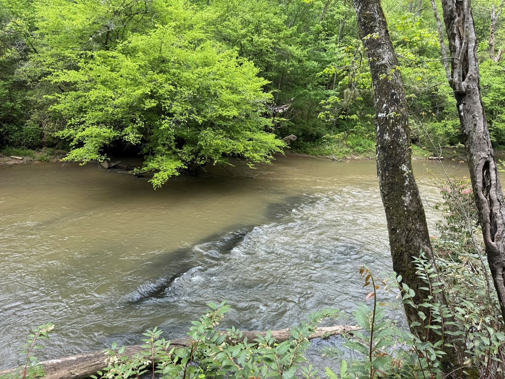 Lot 25 Holly Point #25, MURPHY, North Carolina image 8