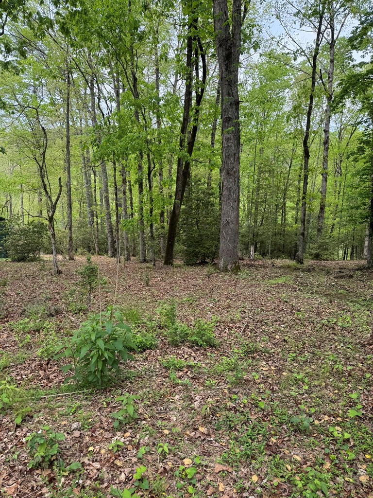 Lot 25 Holly Point #25, MURPHY, North Carolina image 2