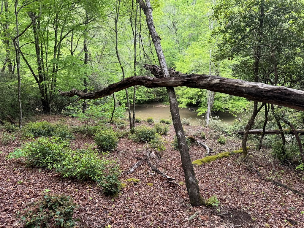 Lot 25 Holly Point #25, MURPHY, North Carolina image 5