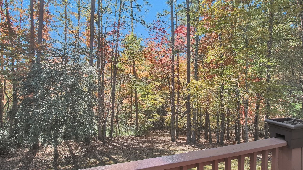 245 Sunnie Lane, MURPHY, North Carolina image 24