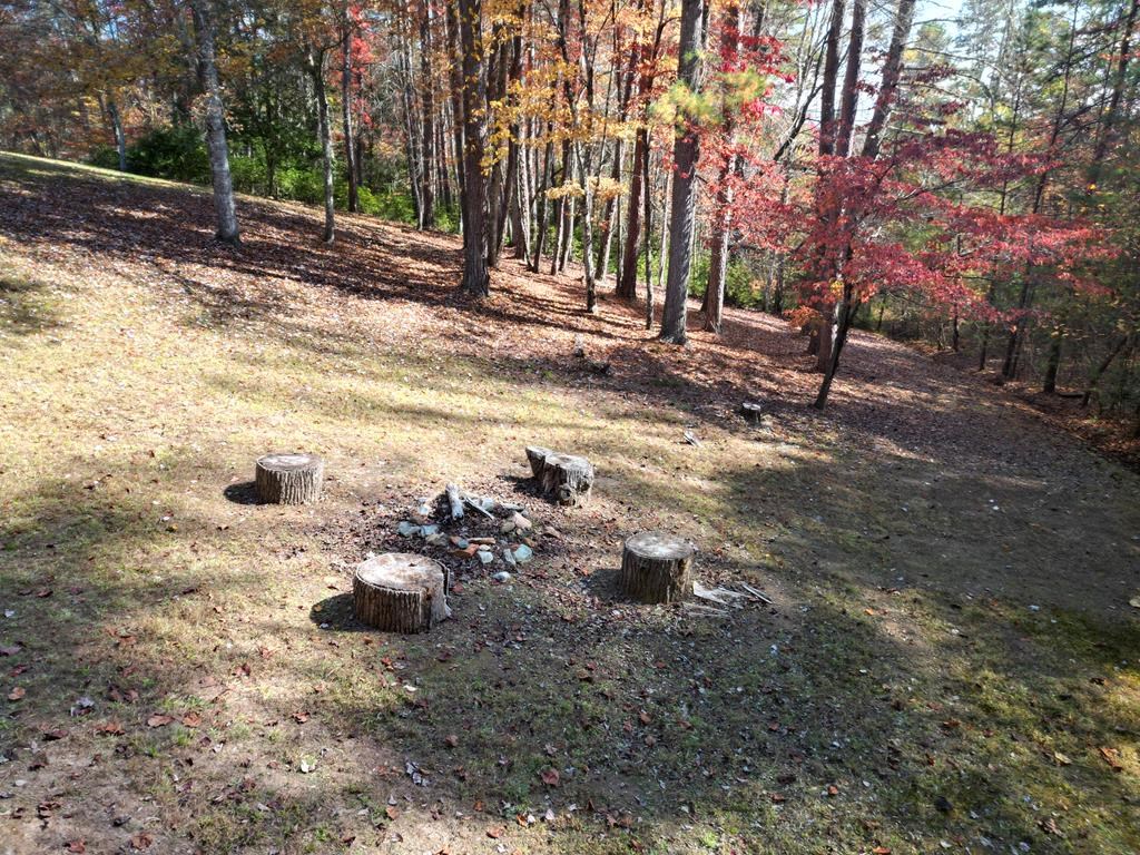 245 Sunnie Lane, MURPHY, North Carolina image 14