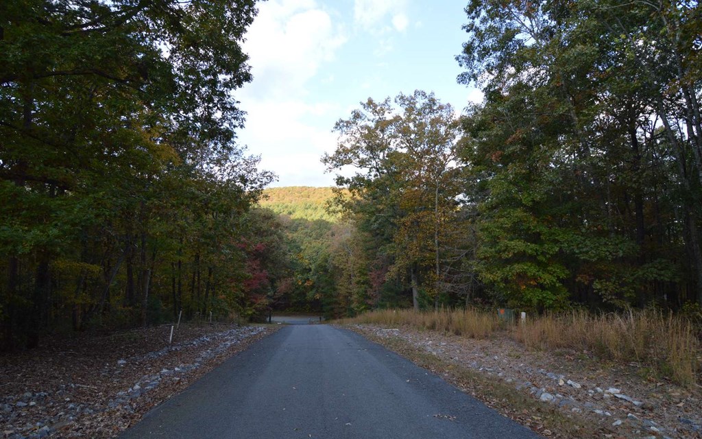 Lot 2 Serenity Ridge #2, BLAIRSVILLE, Georgia image 4