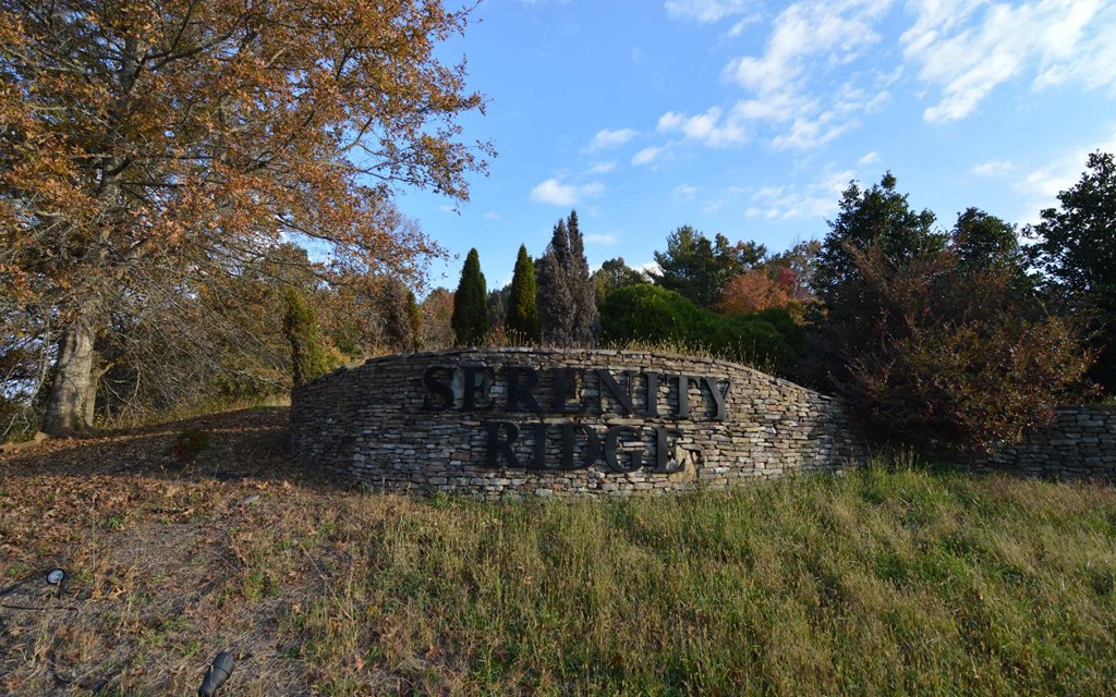 Lot 2 Serenity Ridge #2, BLAIRSVILLE, Georgia image 2