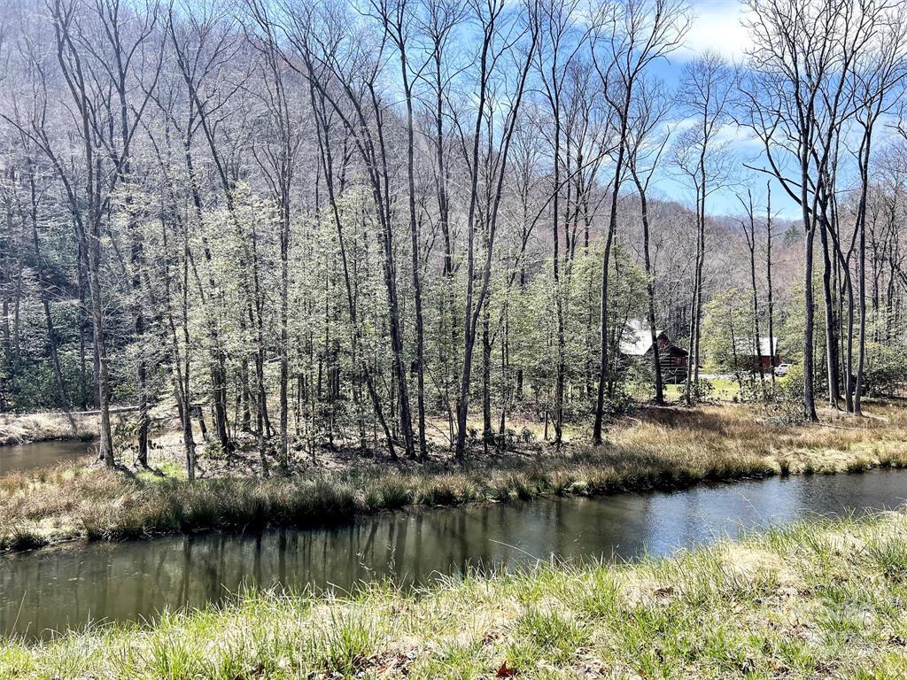 7810 Little Snowbird Rd, ROBBINSVILLE, North Carolina image 28