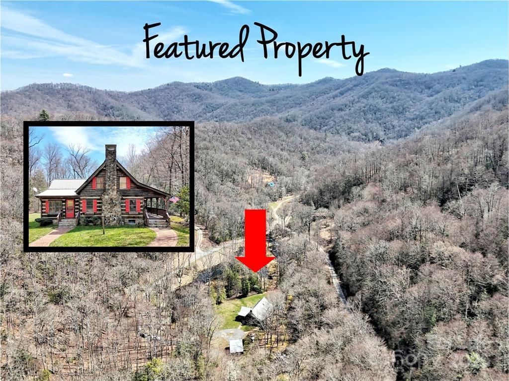 7810 Little Snowbird Rd, ROBBINSVILLE, North Carolina image 1