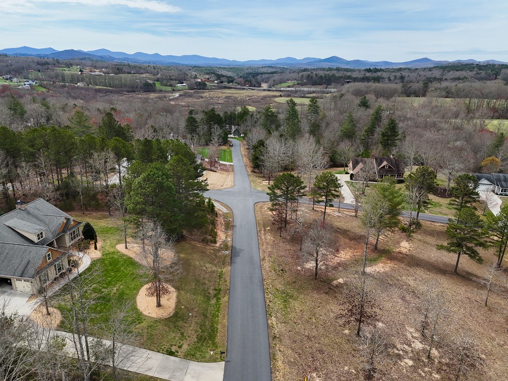 00 Yonah Way #53, BLAIRSVILLE, Georgia image 16