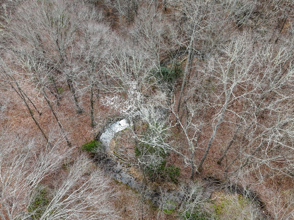 00 Yonah Way #53, BLAIRSVILLE, Georgia image 12