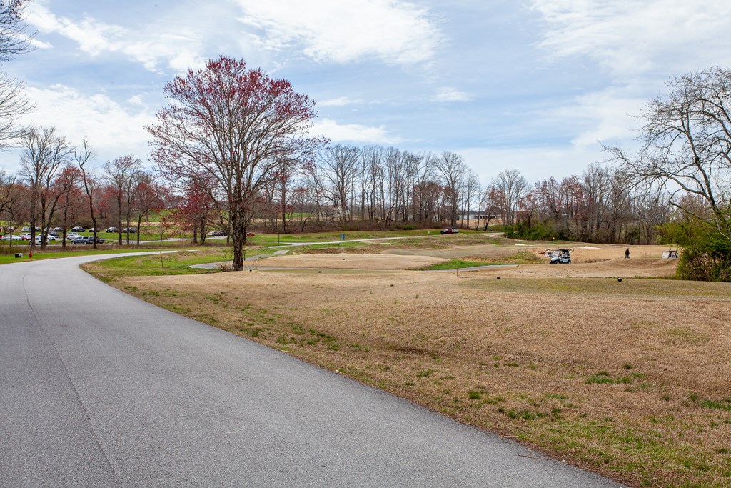 00 Yonah Way #53, BLAIRSVILLE, Georgia image 7