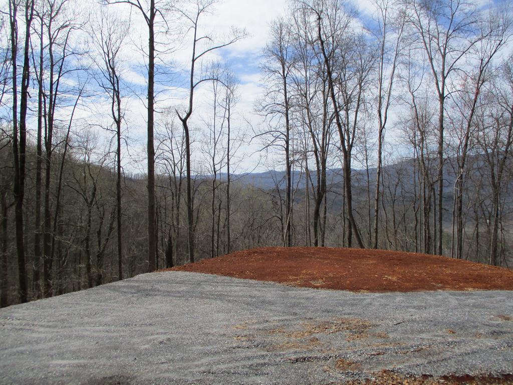 LT 5 High Meadows Ridge #5, HAYESVILLE, North Carolina image 1