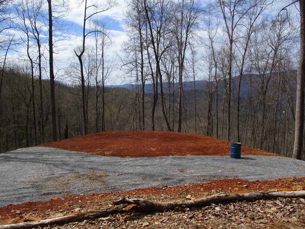 LT 5 High Meadows Ridge #5, HAYESVILLE, North Carolina image 11