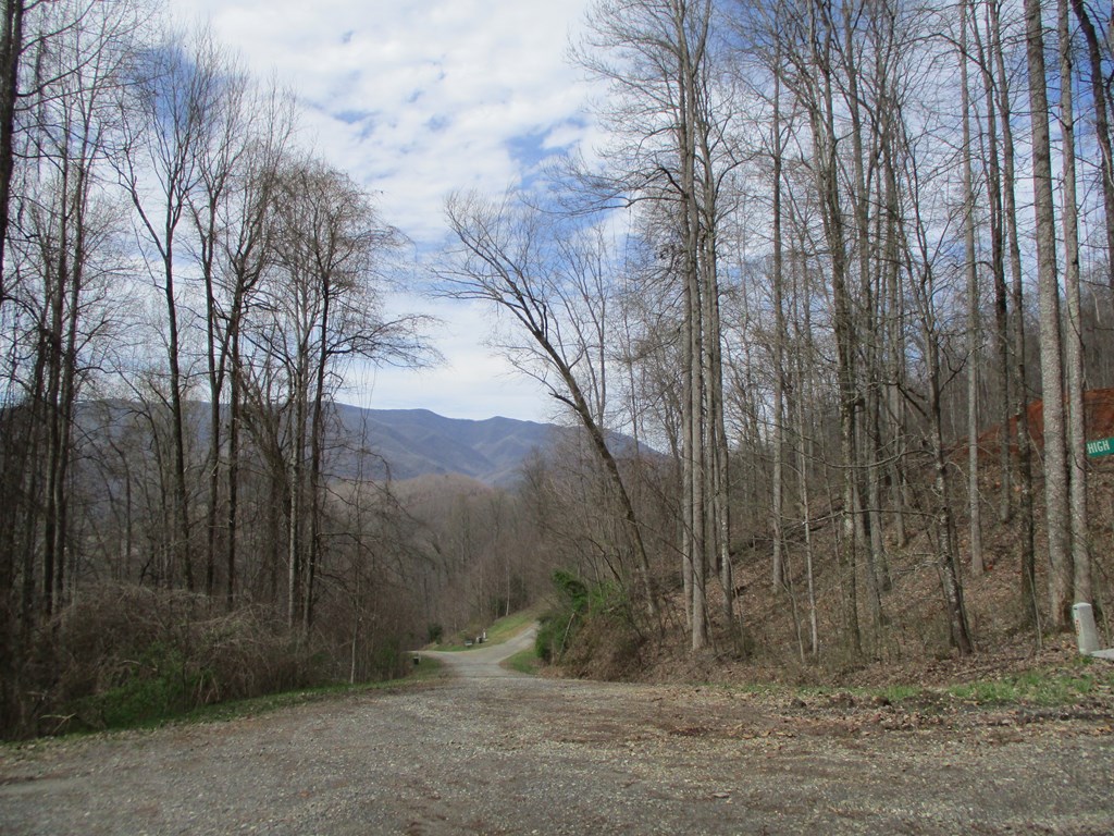 LT 5 High Meadows Ridge #5, HAYESVILLE, North Carolina image 3