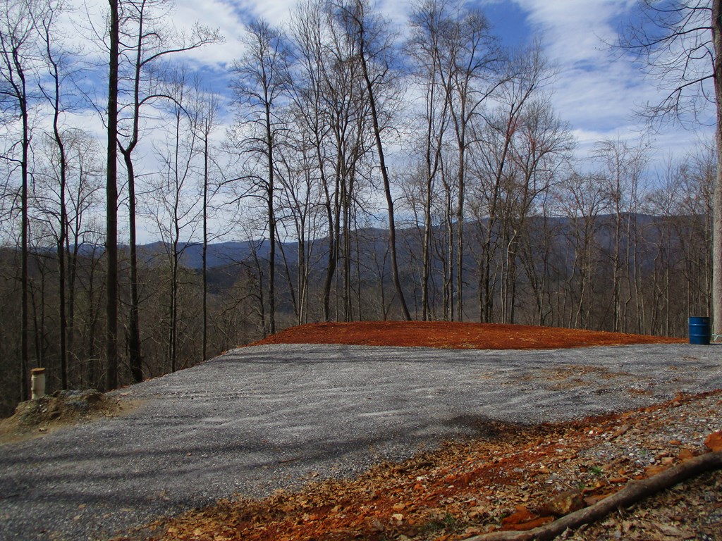 LT 5 High Meadows Ridge #5, HAYESVILLE, North Carolina image 5