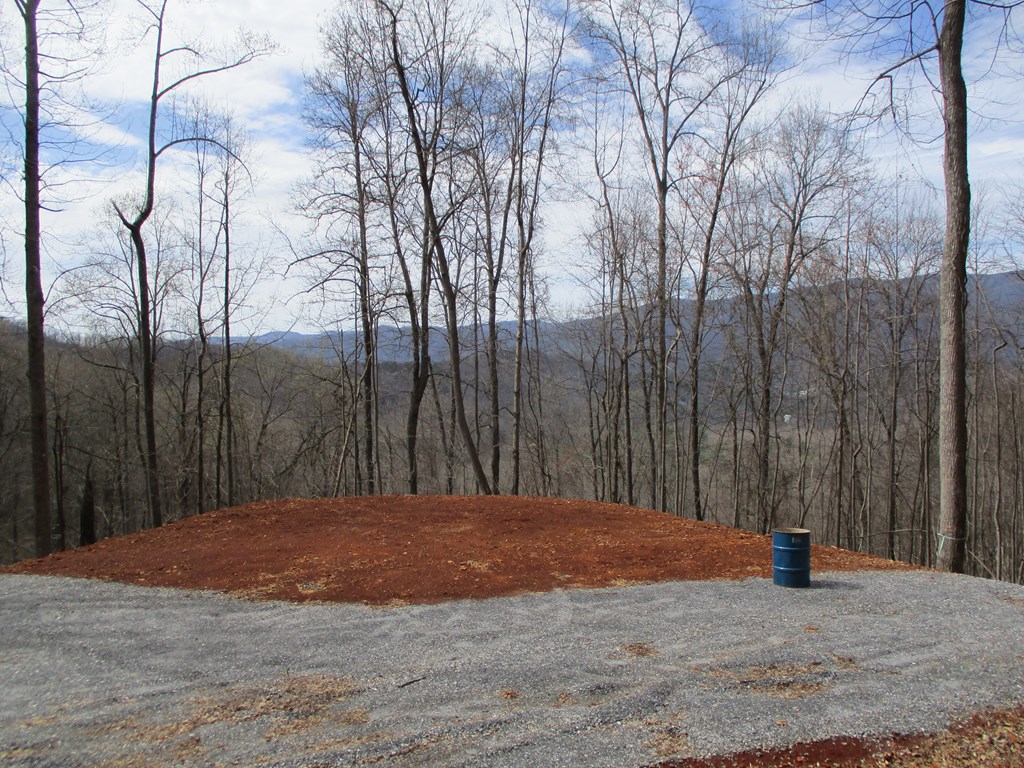 LT 5 High Meadows Ridge #5, HAYESVILLE, North Carolina image 7