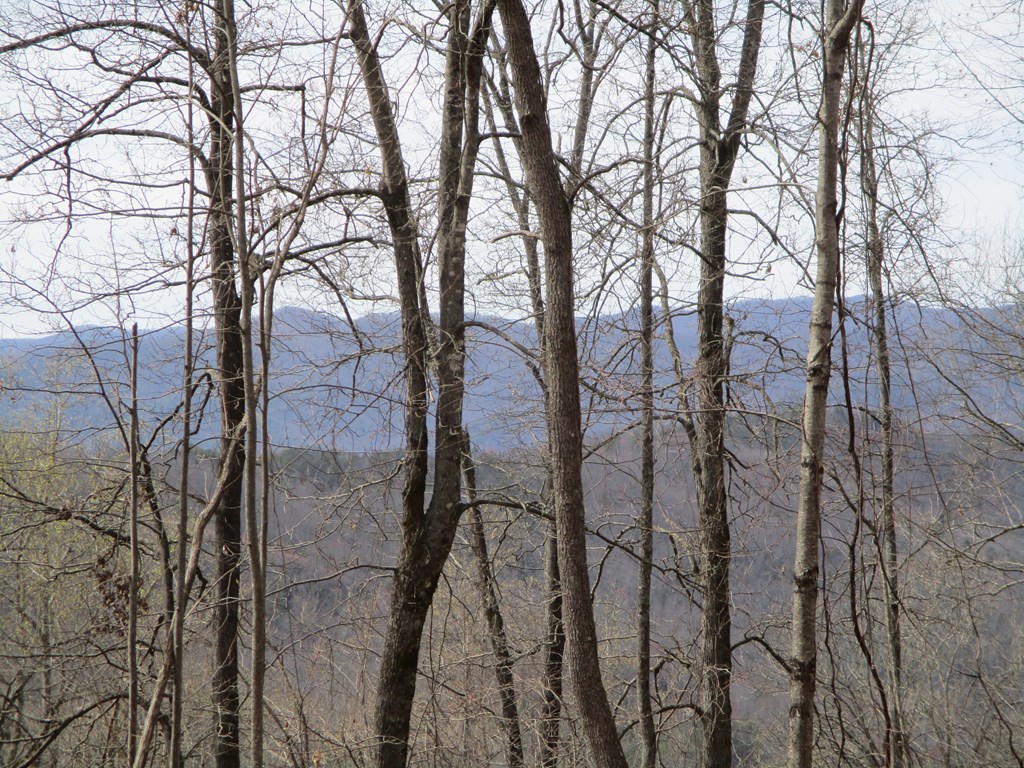 LT 5 High Meadows Ridge #5, HAYESVILLE, North Carolina image 8