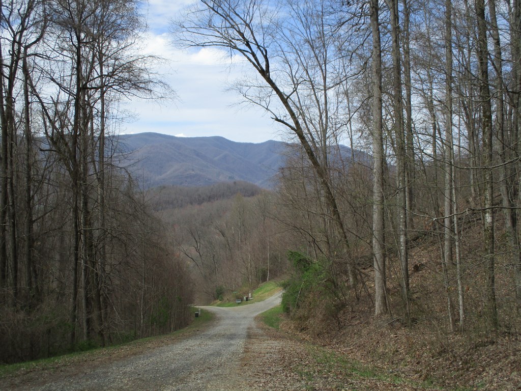 LT 5 High Meadows Ridge #5, HAYESVILLE, North Carolina image 25