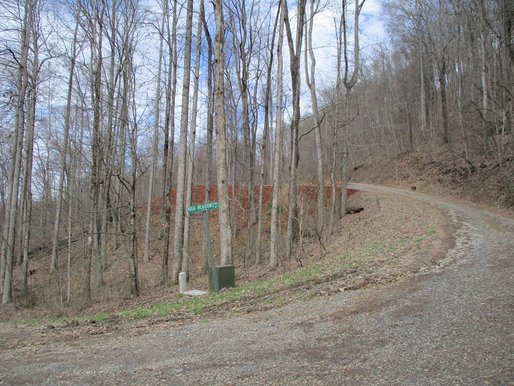 LT 5 High Meadows Ridge #5, HAYESVILLE, North Carolina image 2