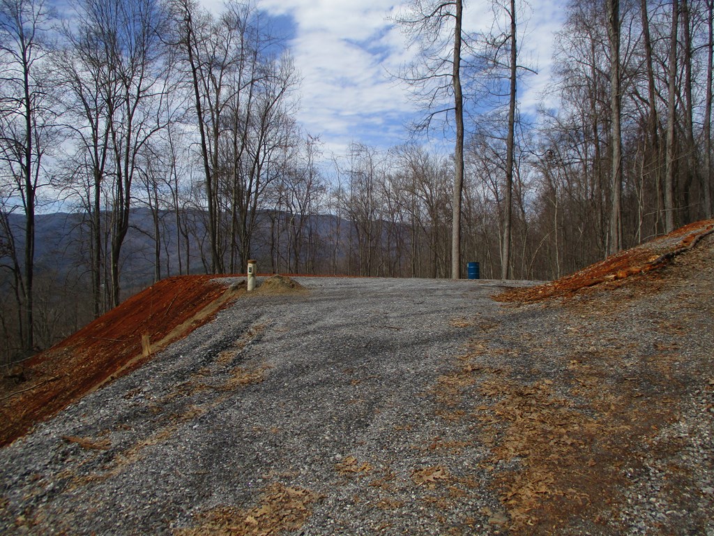 LT 5 High Meadows Ridge #5, HAYESVILLE, North Carolina image 4