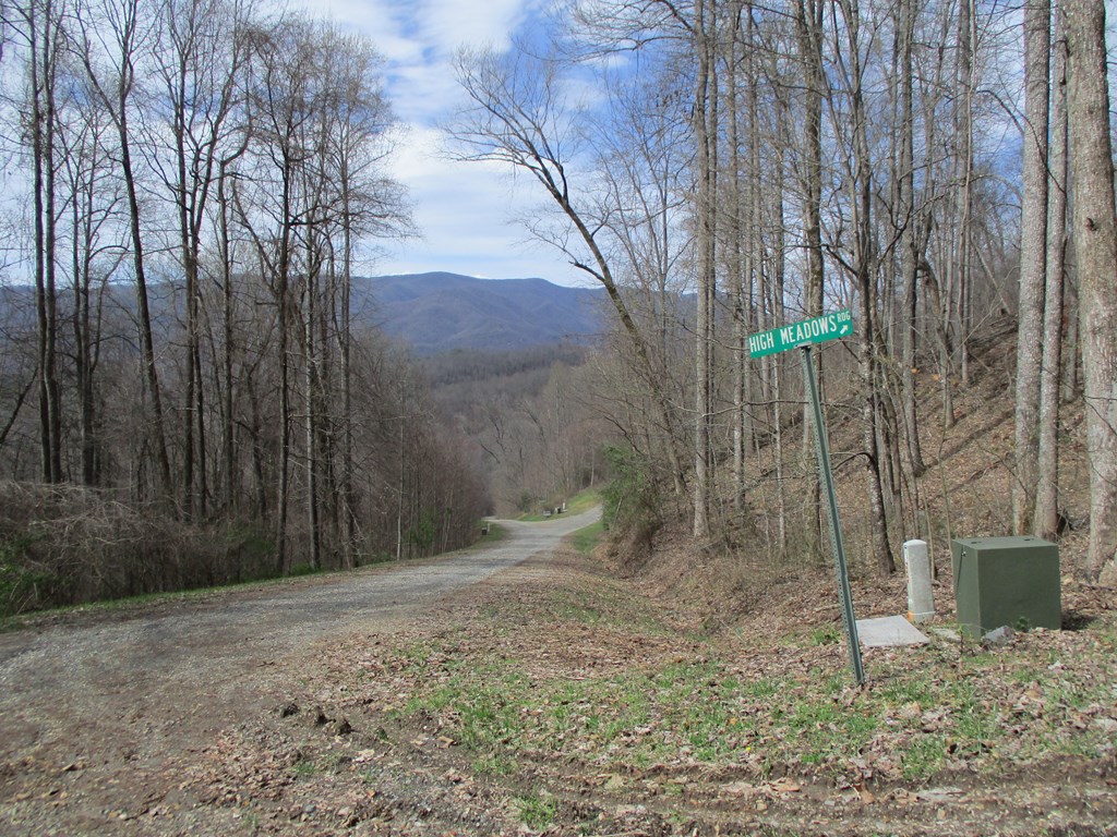 LT 5 High Meadows Ridge #5, HAYESVILLE, North Carolina image 24