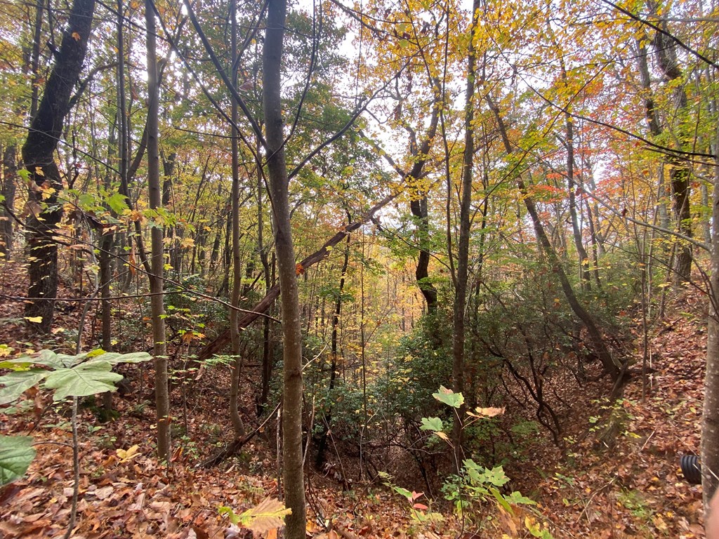 N Upper Bell Creek Road #TR D, HAYESVILLE, North Carolina image 25