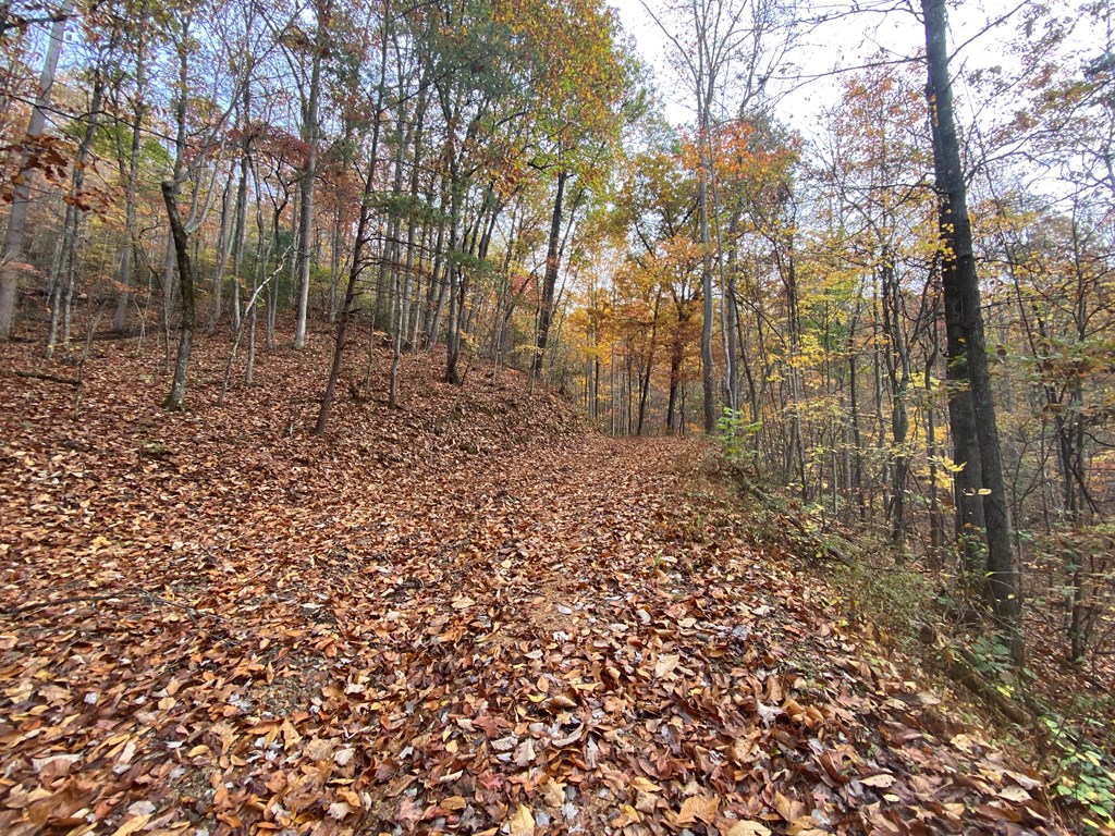 N Upper Bell Creek Road #TR D, HAYESVILLE, North Carolina image 5