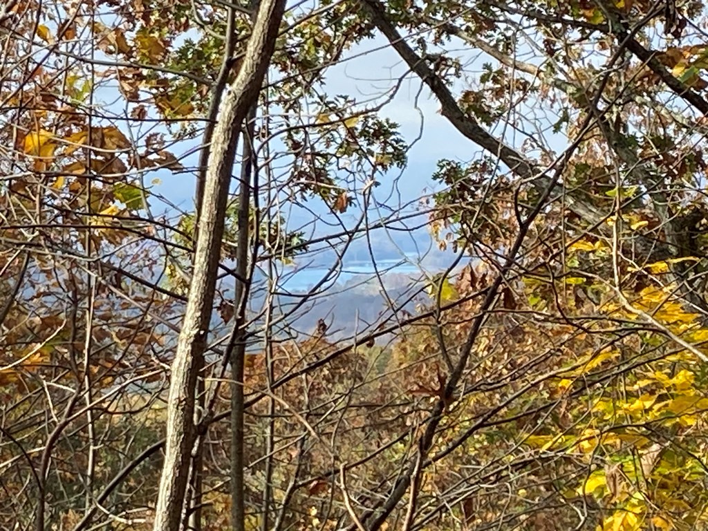 N Upper Bell Creek Road #TR D, HAYESVILLE, North Carolina image 3